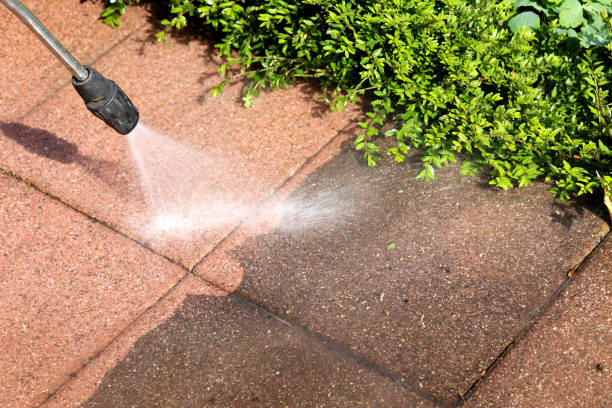 Best Exterior Home Cleaning  in Burlington, WA